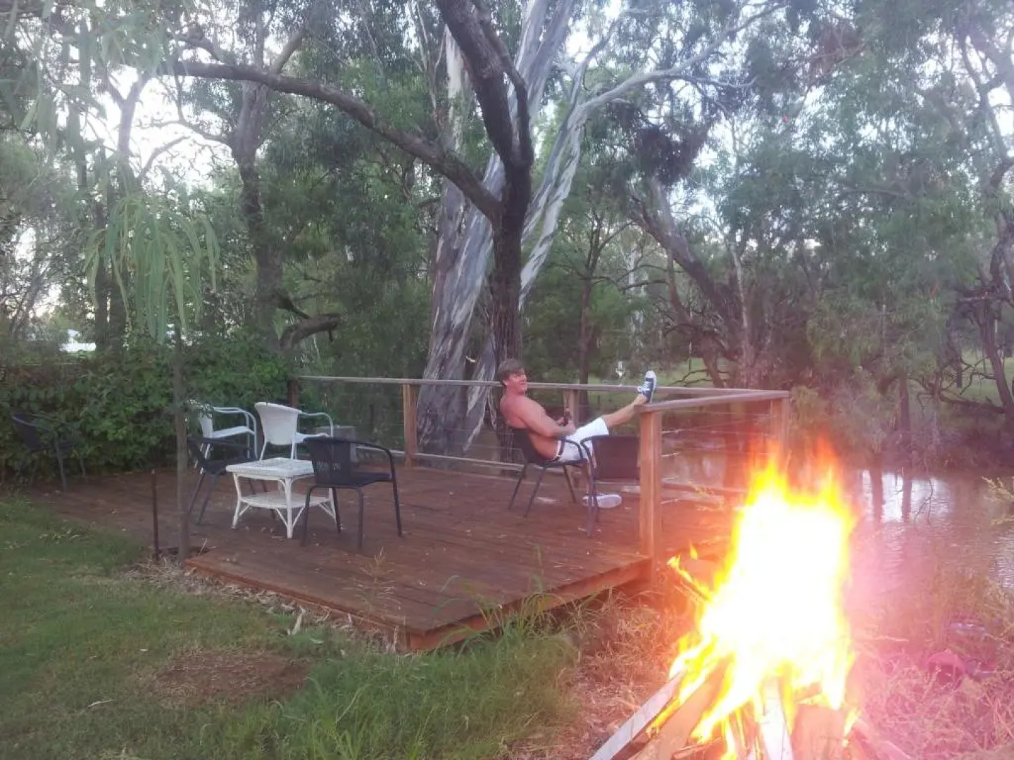 The Laurels of Chinchilla