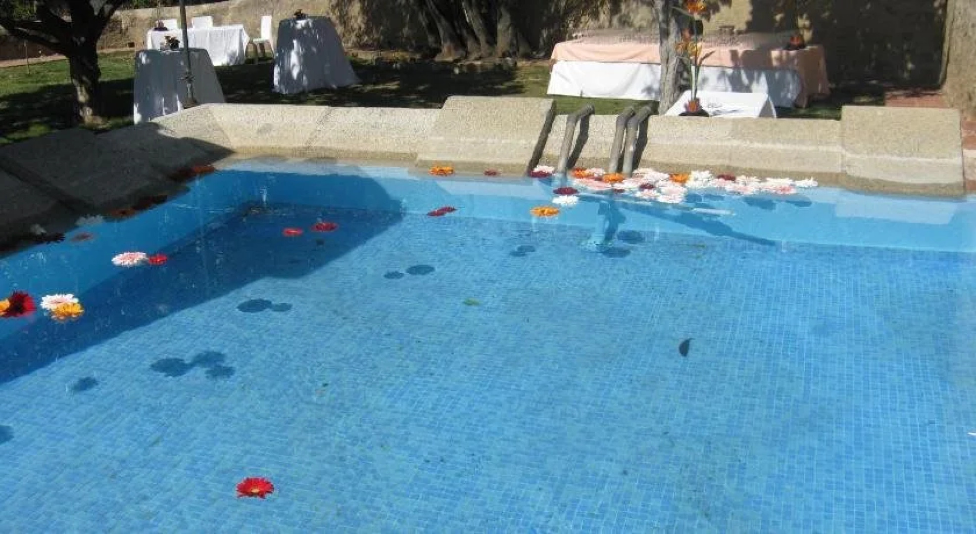 Hotel Masia Can Vive