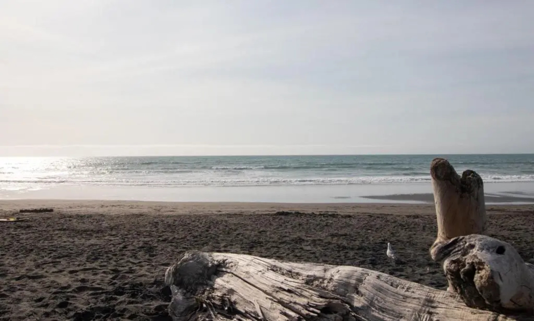 The Dunes At Fitzroy Beach - Unit 2