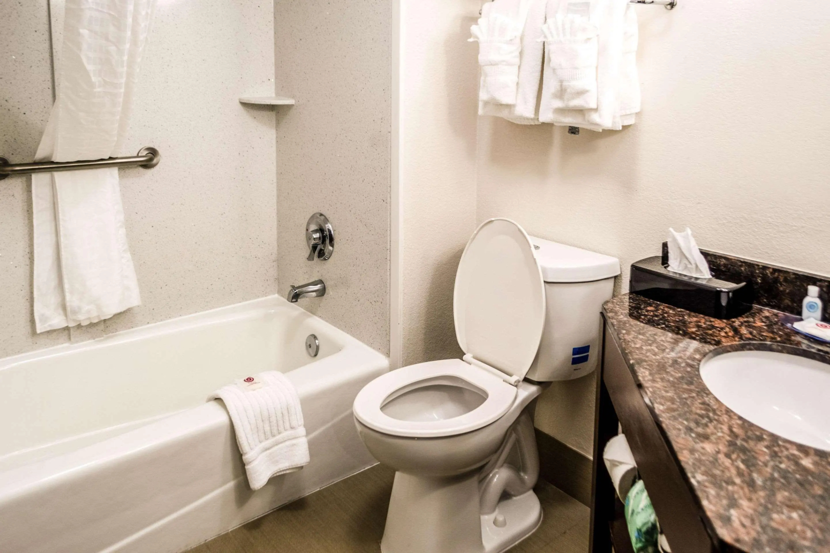 Comfort Inn Downtown Charleston