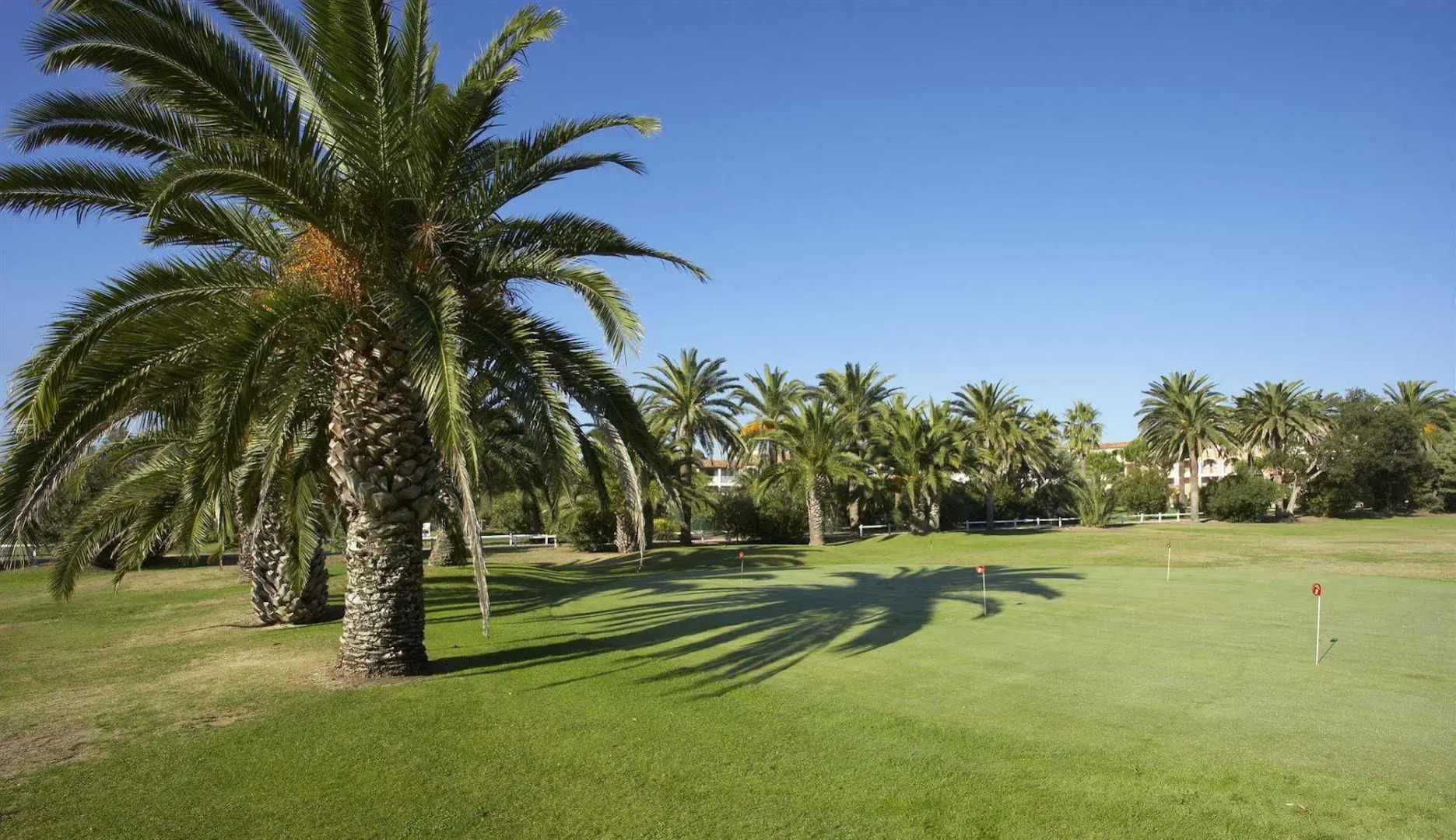 SOWELL Family Port Grimaud