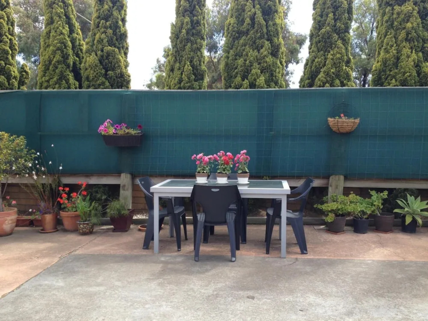 Rippleside Park Motor Inn