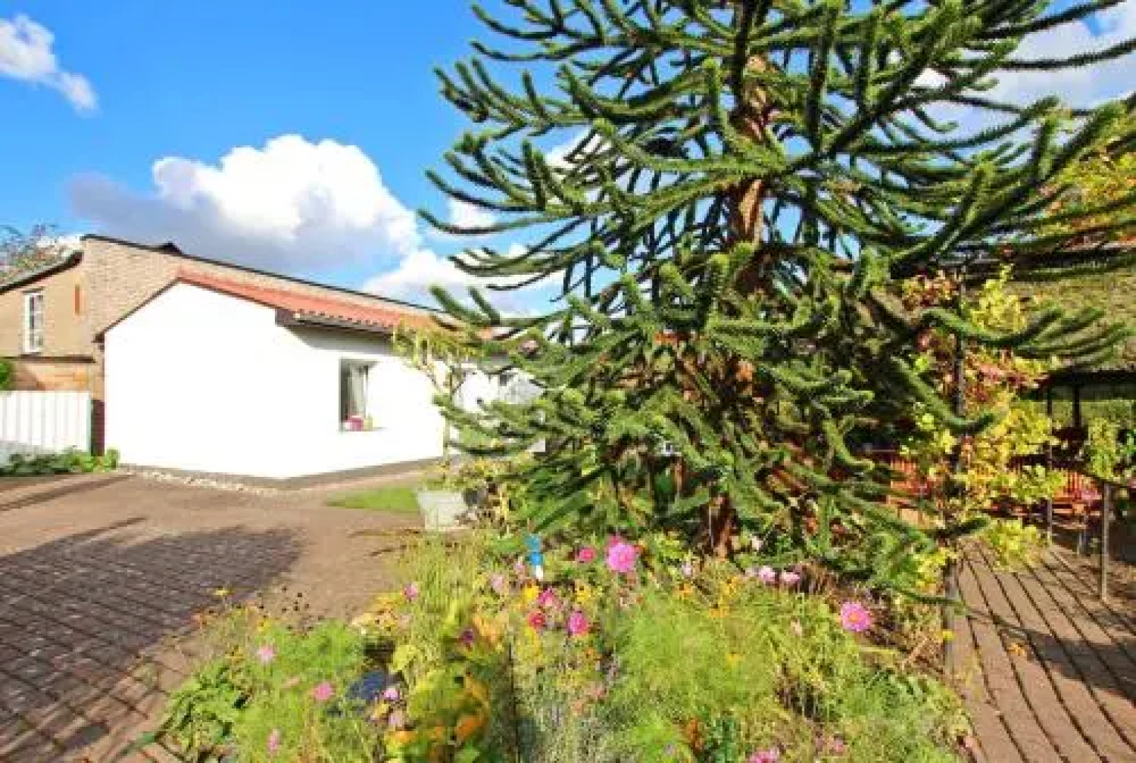 Ferienhaus Garz RUeG 801