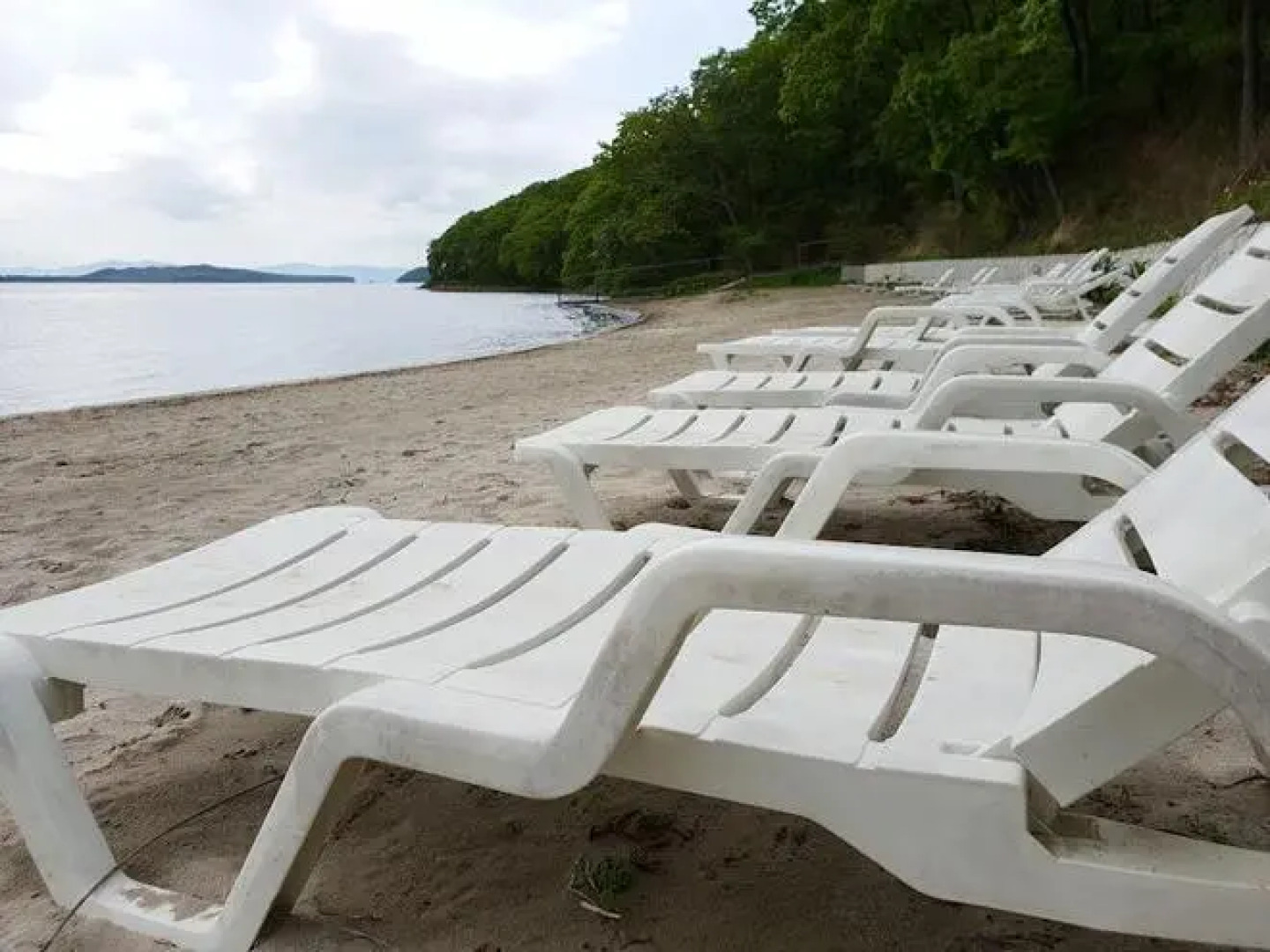 Русский Ренессанс