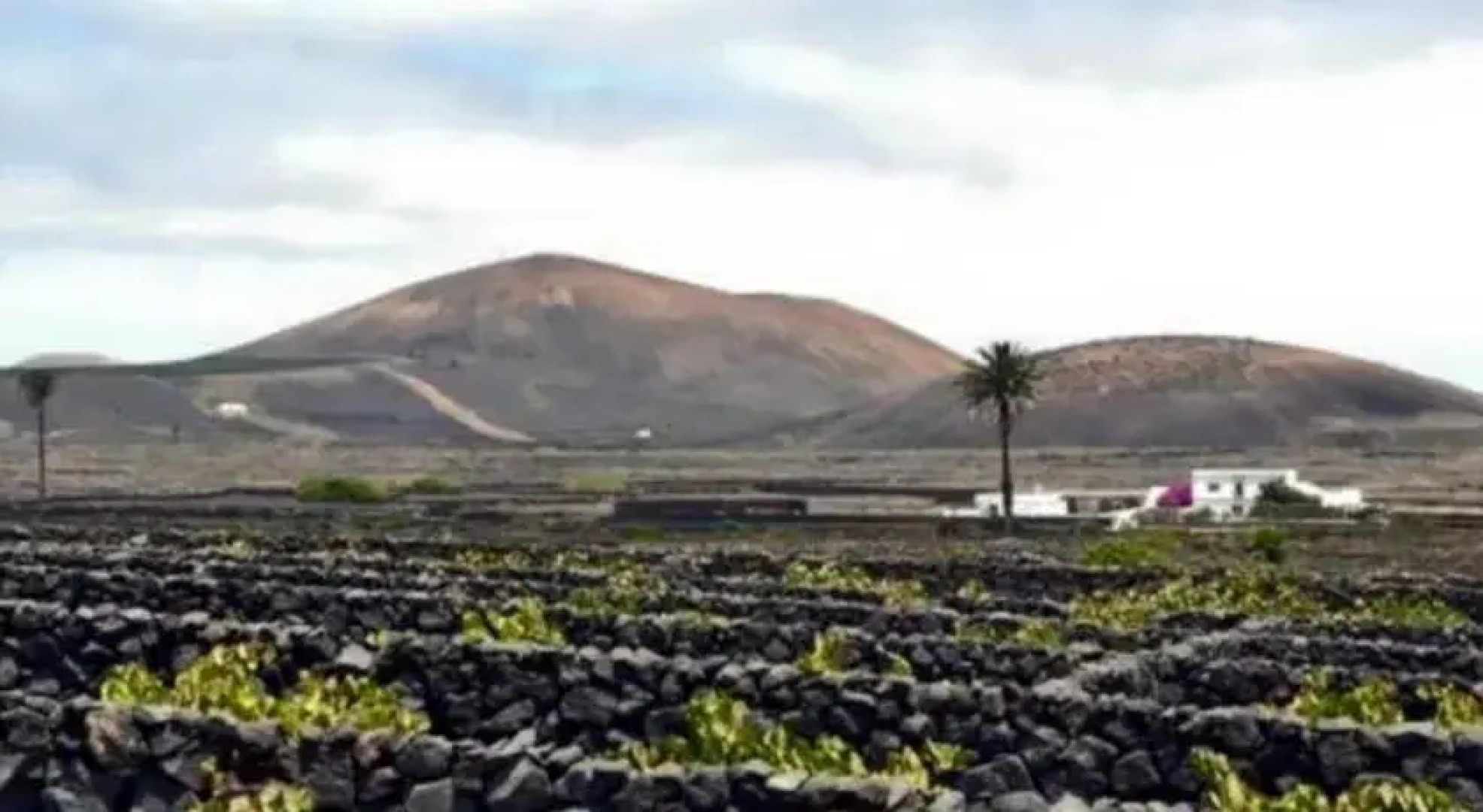 Holiday Home Canarias