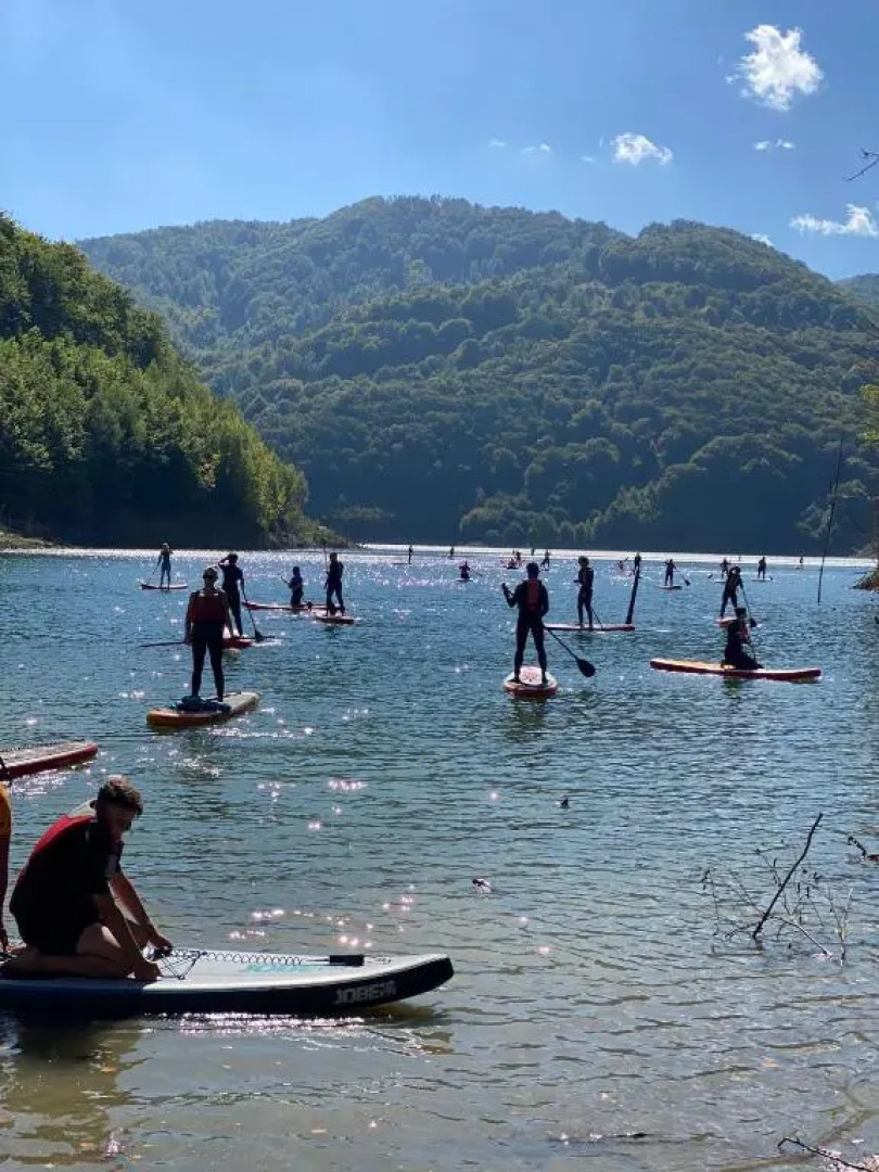 Summer Vibe Apartment