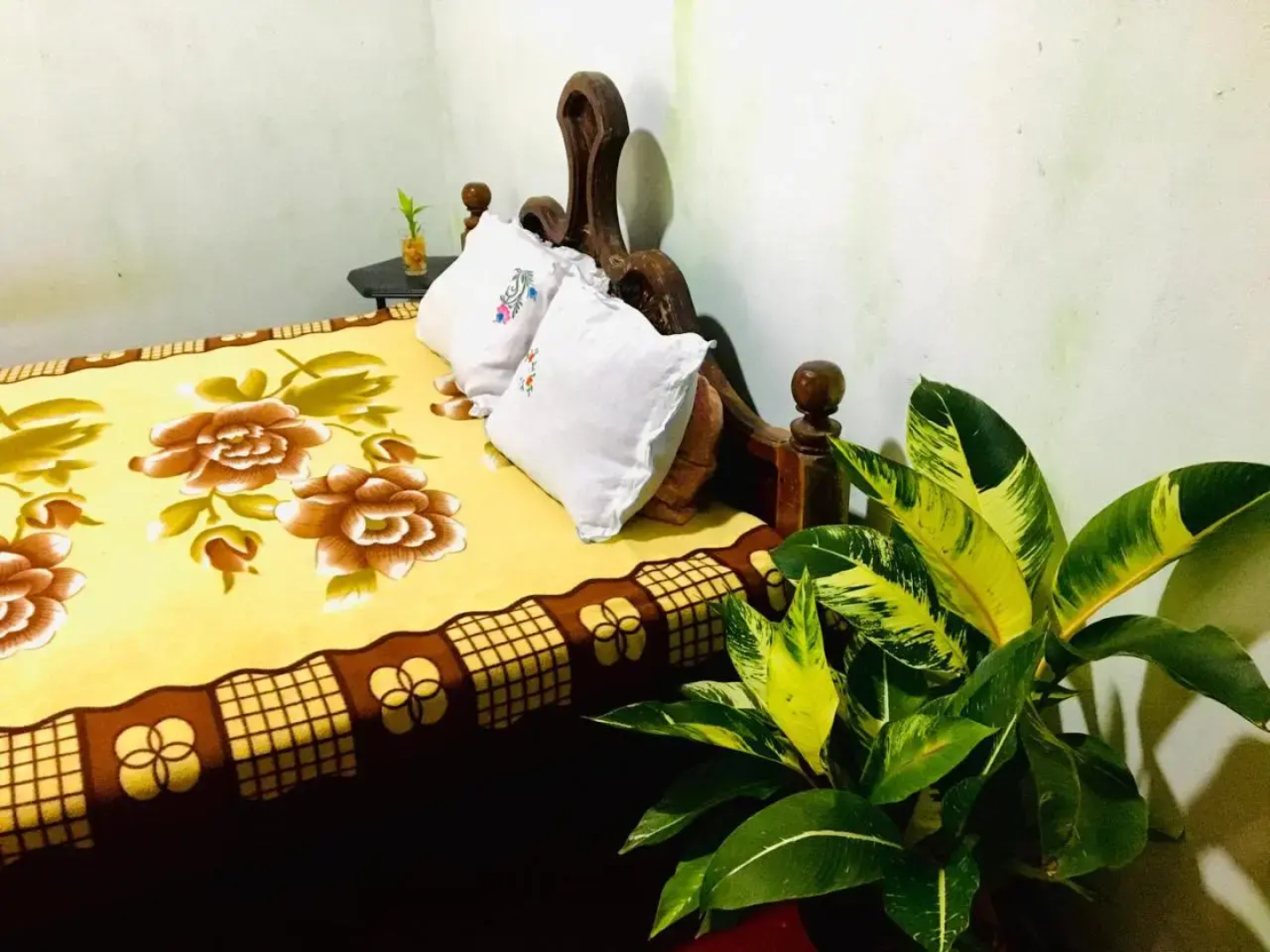 Mama Daisy's Homestay Rekawa.