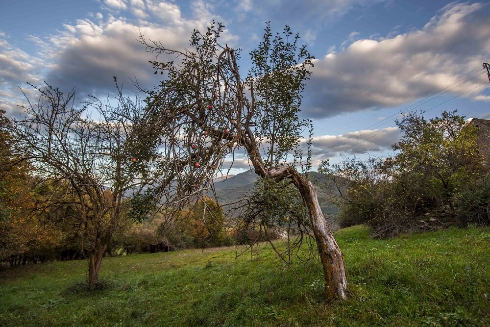 Casa Arana - Parque Nacional de Ordesa