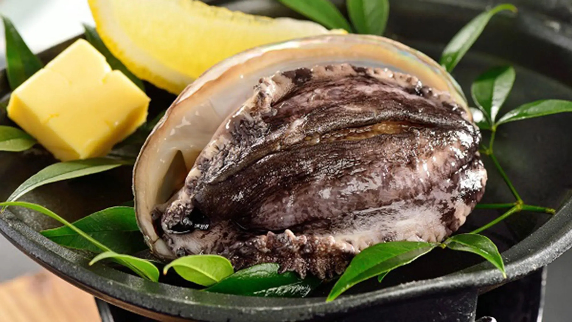 Kamenoi Hotel Kamogawa