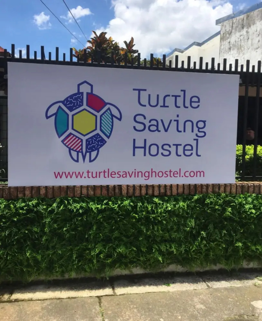 Turtle Saving Hostel