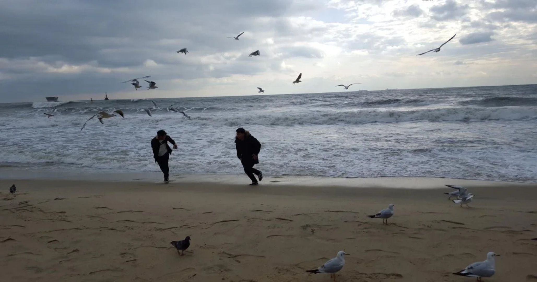 Haeundae J Guesthouse