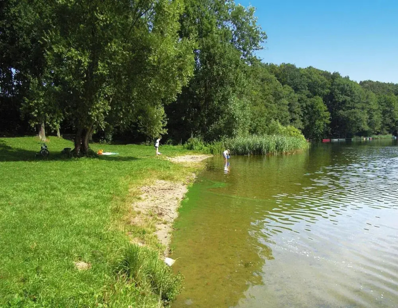 Roof House Near Dummer See With Rowing Boat