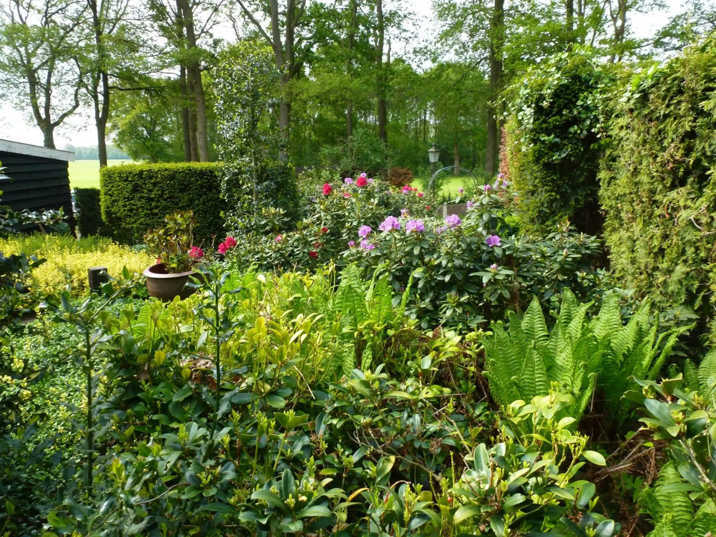 Vakantiewoning Salland