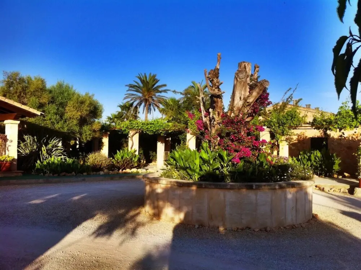 Finca Son Sampoli