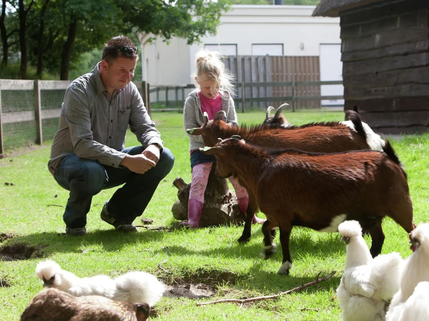 Romantic Villa With a Dishwasher, Near a National Park