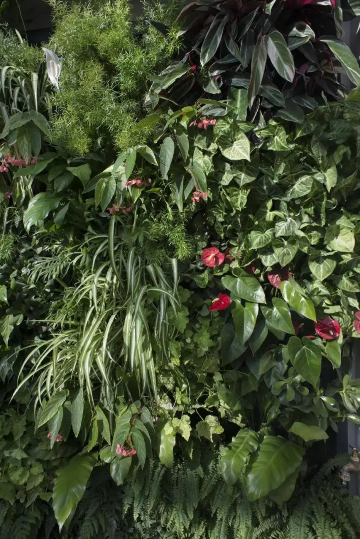 Domitys Les Cigales du Luberon