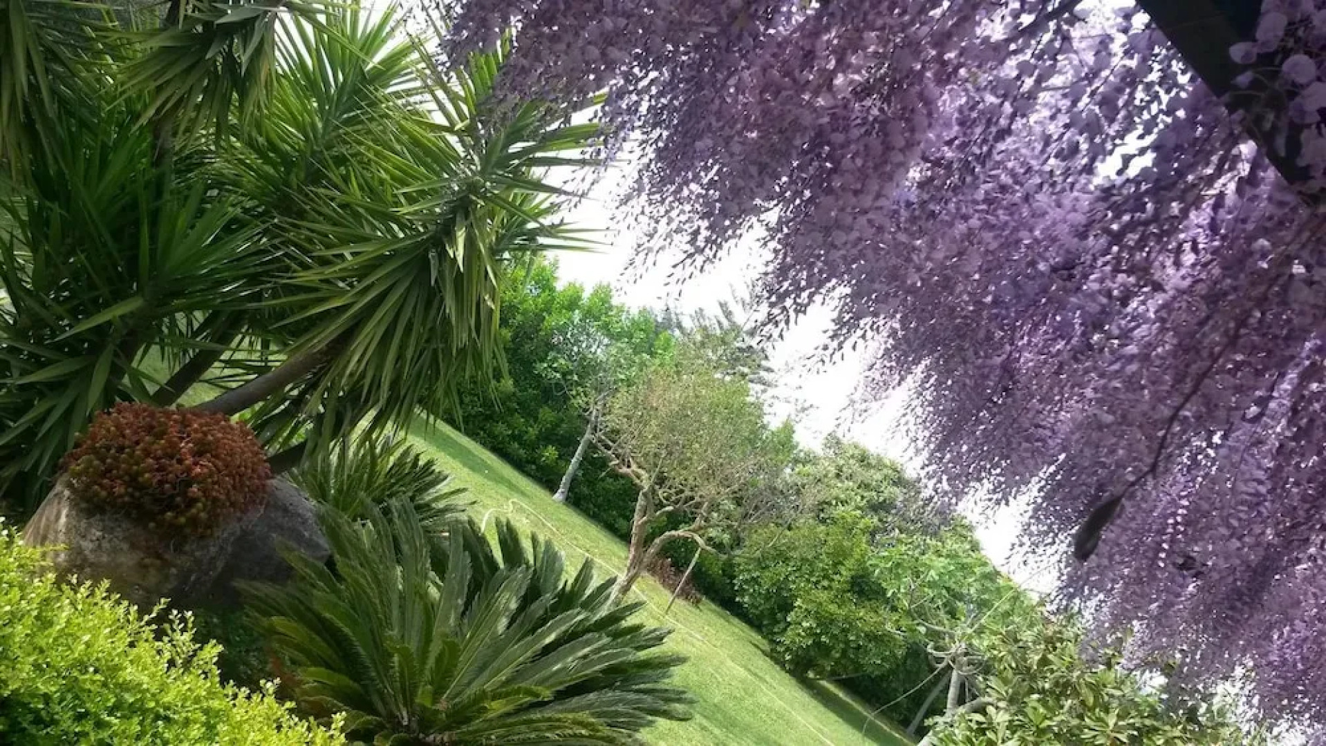 Arcobaleno Paestum Bed & Breakfast