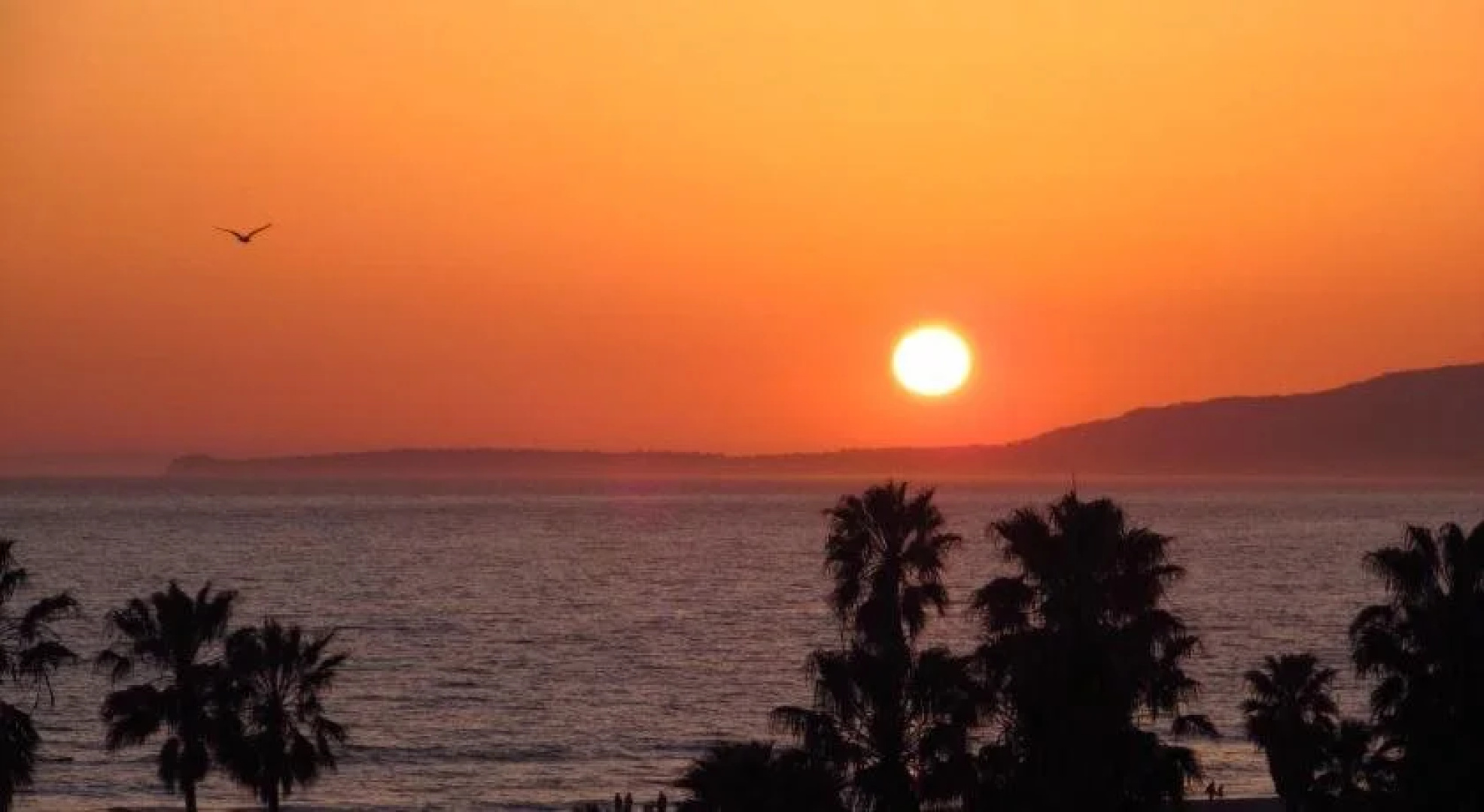 Venice Beach Hostel