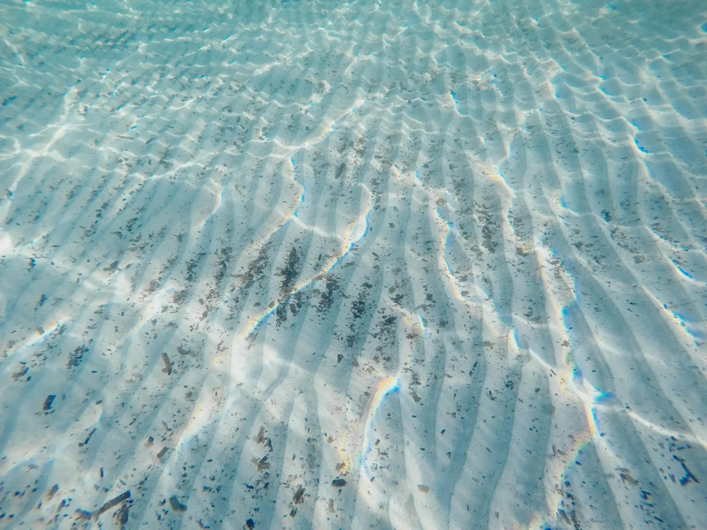 House Marija Drvenik Mali