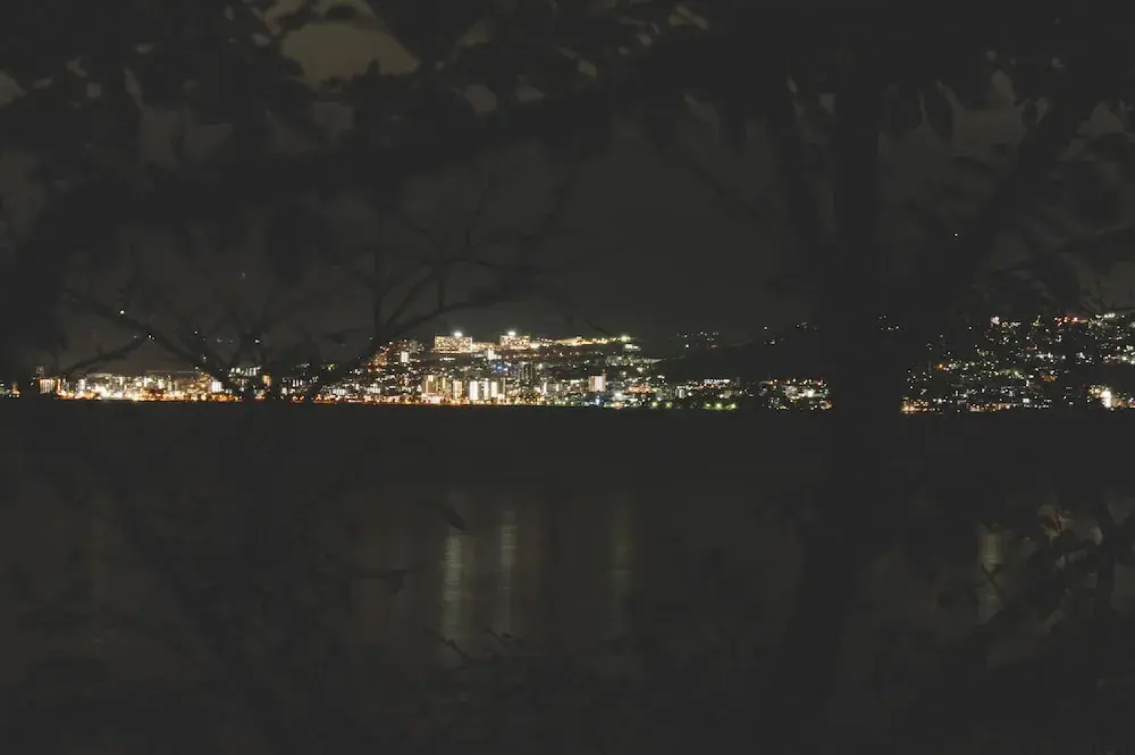 Sakura Beach Garden
