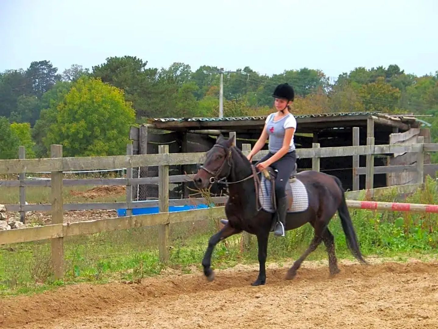 Hotel Restaurant Les Templiers