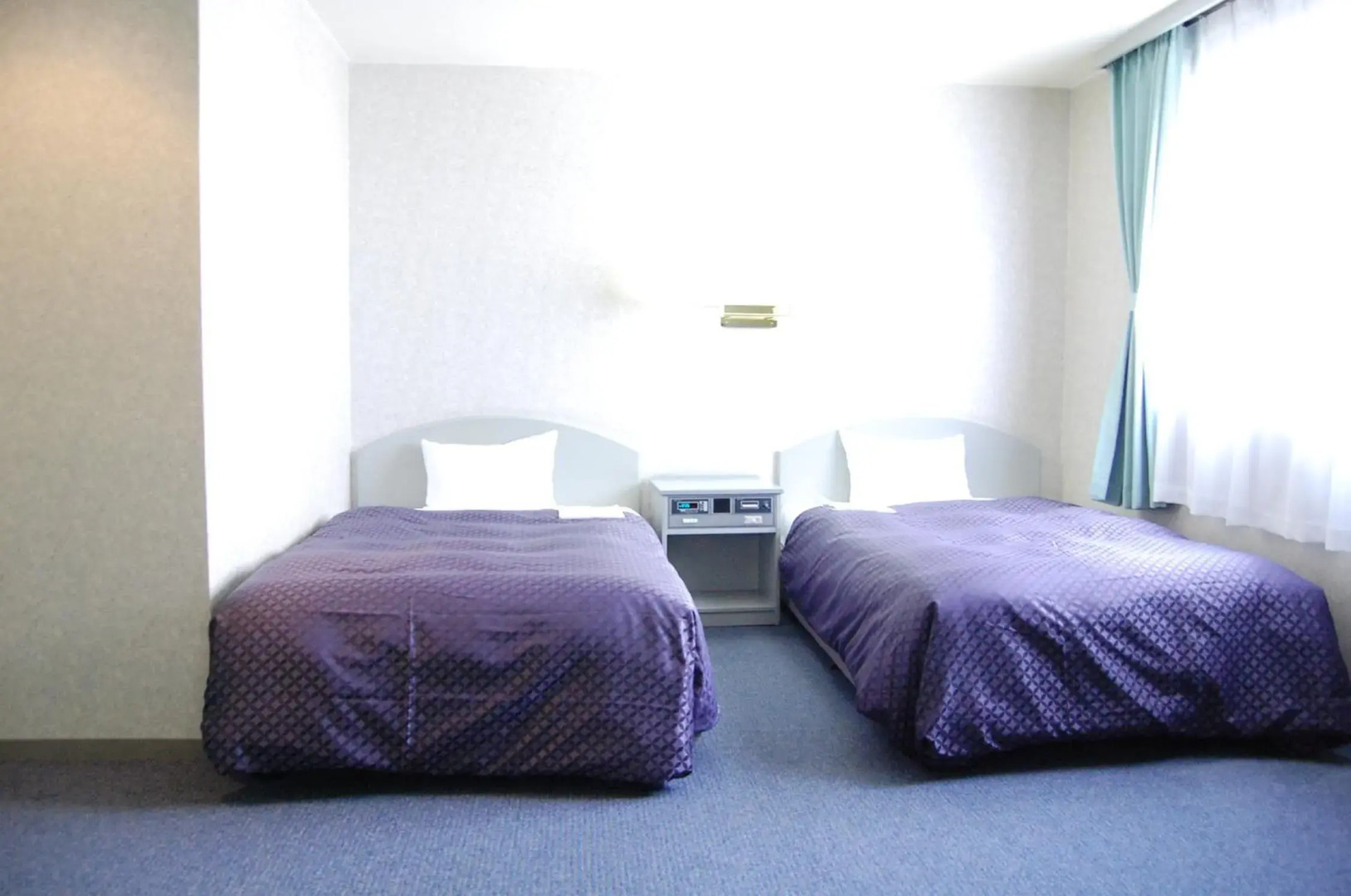 Seagrande Shimizu Station Hotel