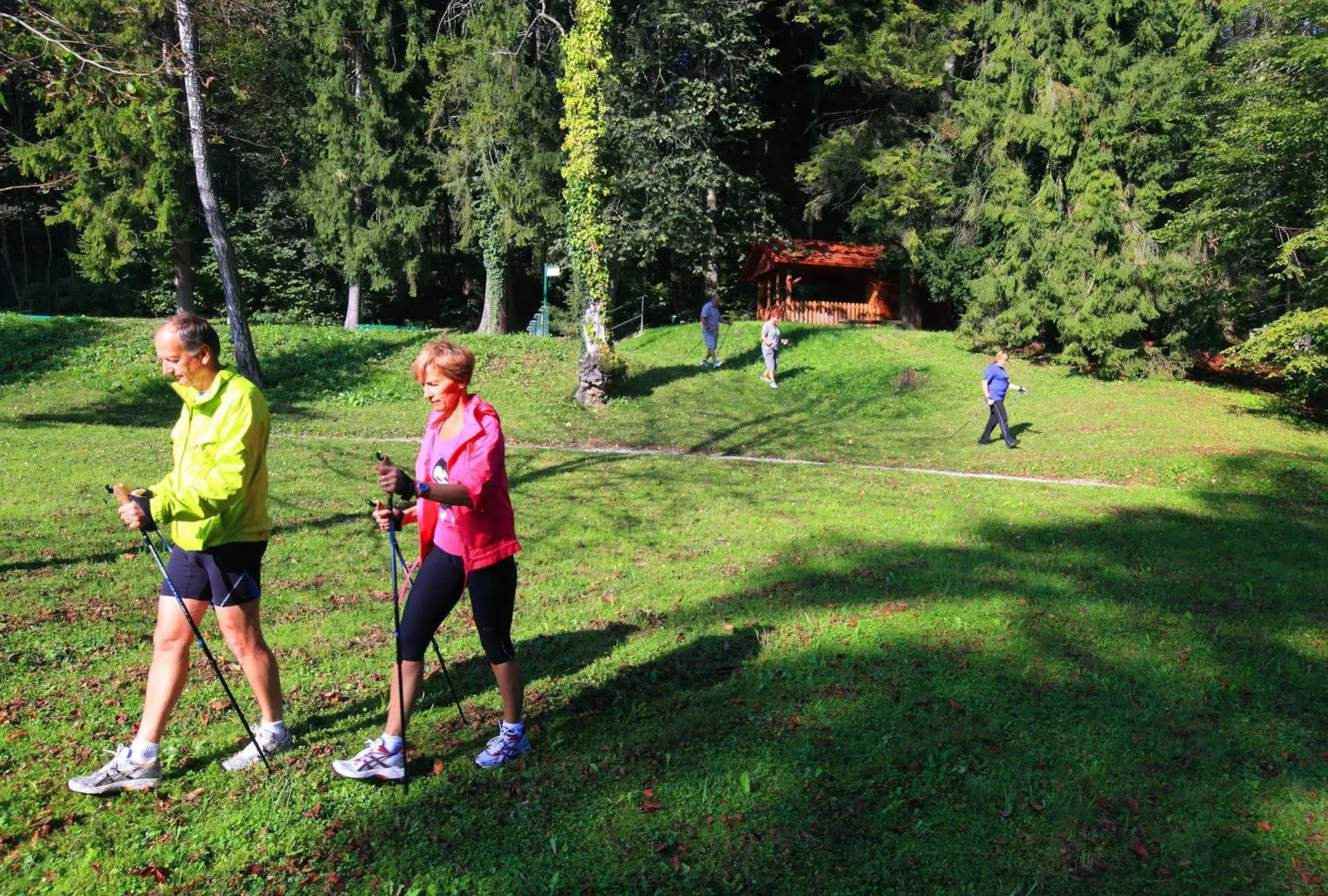 Depandance Vila Higiea - Terme Dobrna