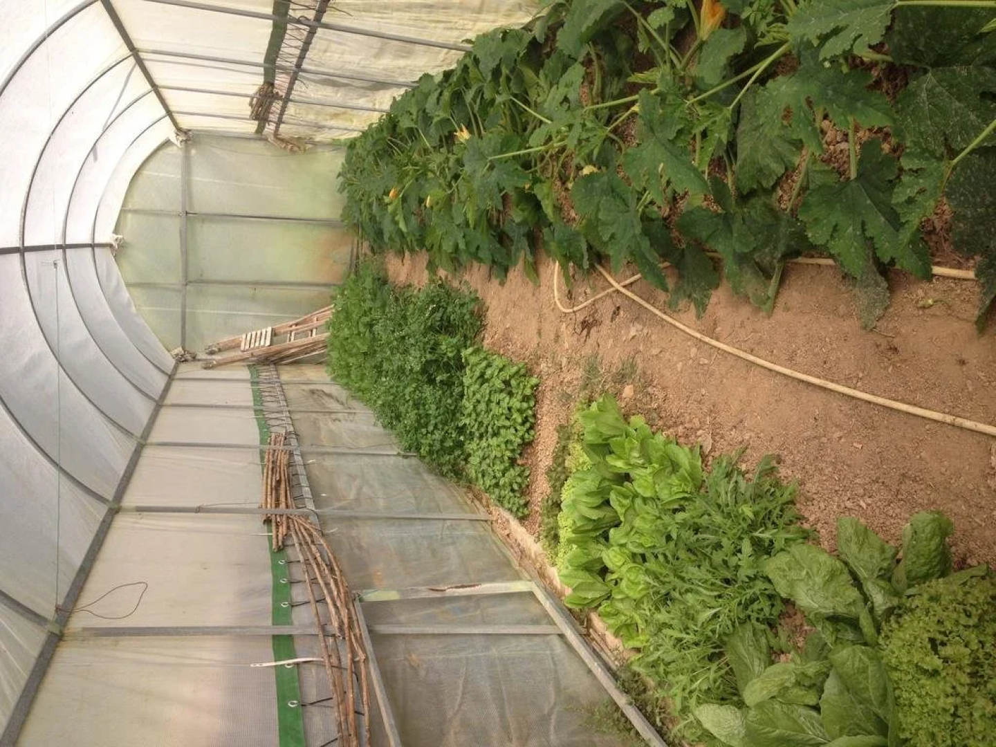 Agriturismo Cerisola 2003