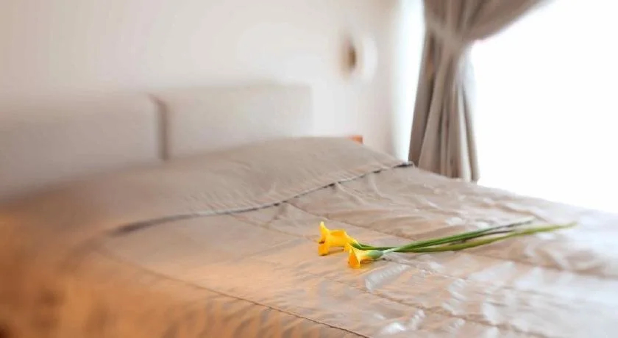 Boutique Hotel Smilčių Vilos