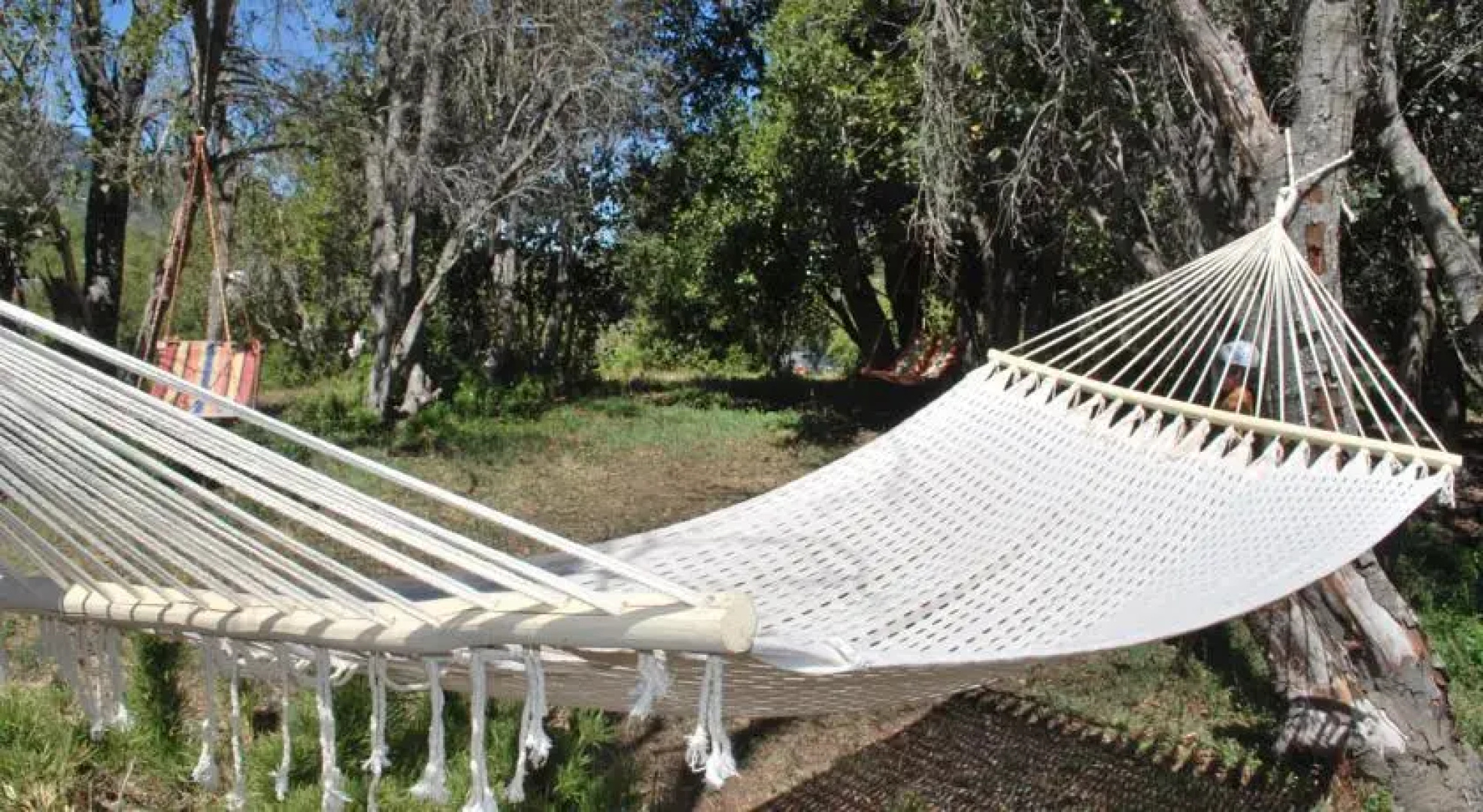 Hosteria Cauquen