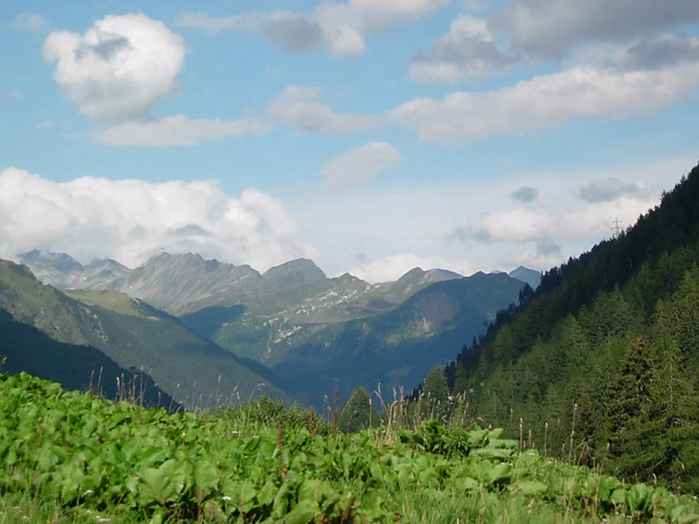 Chalet Verena Alessano