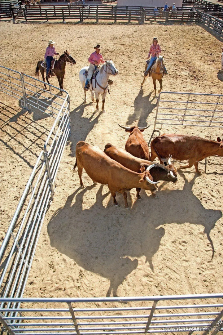 Rancho de los Caballeros