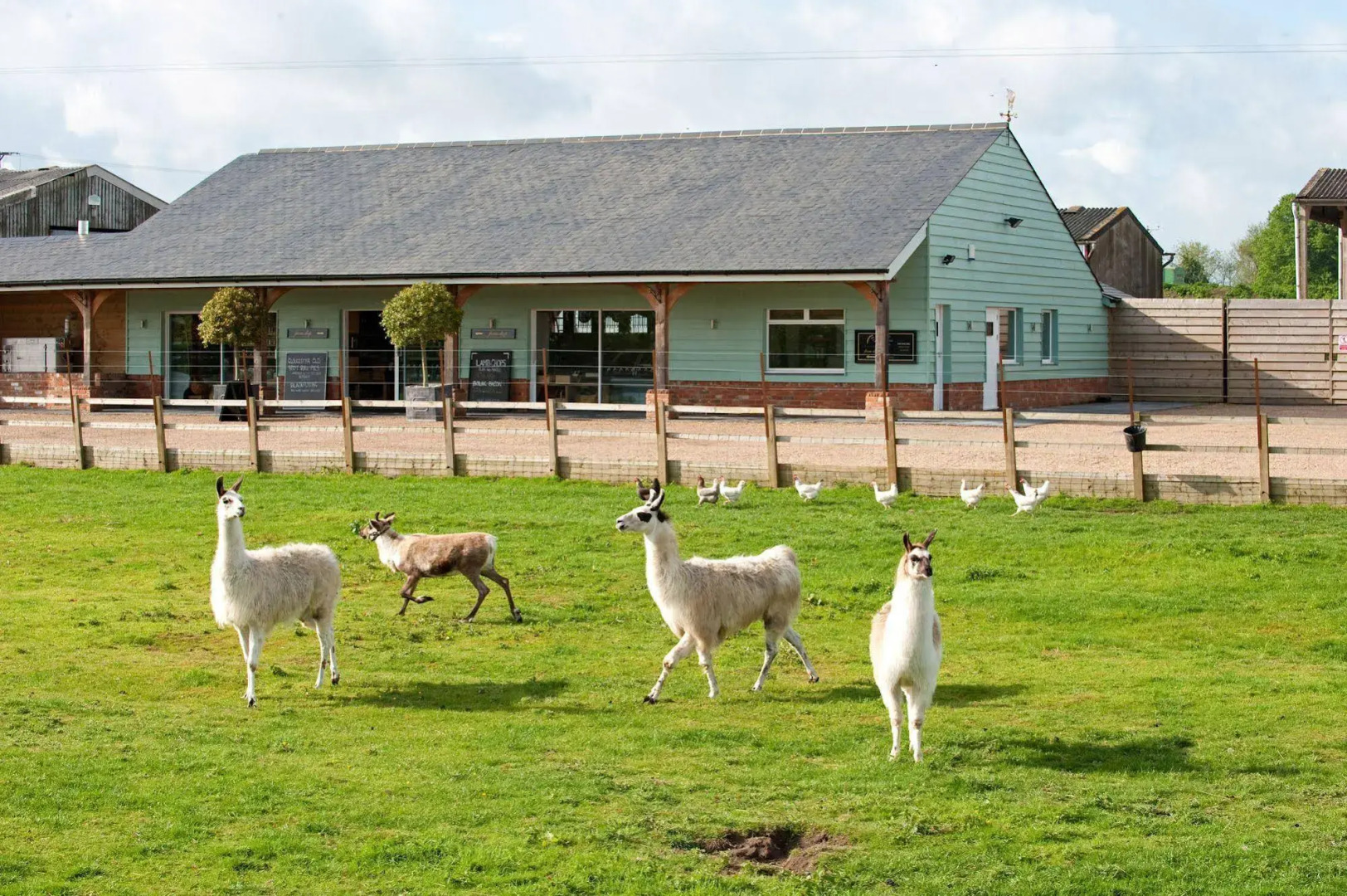 Crazy Bear Hotel-Stadhampton