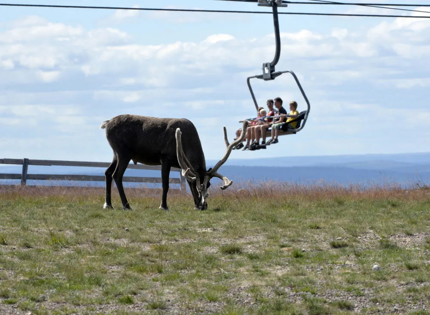 Pernilla Wiberg Hotel