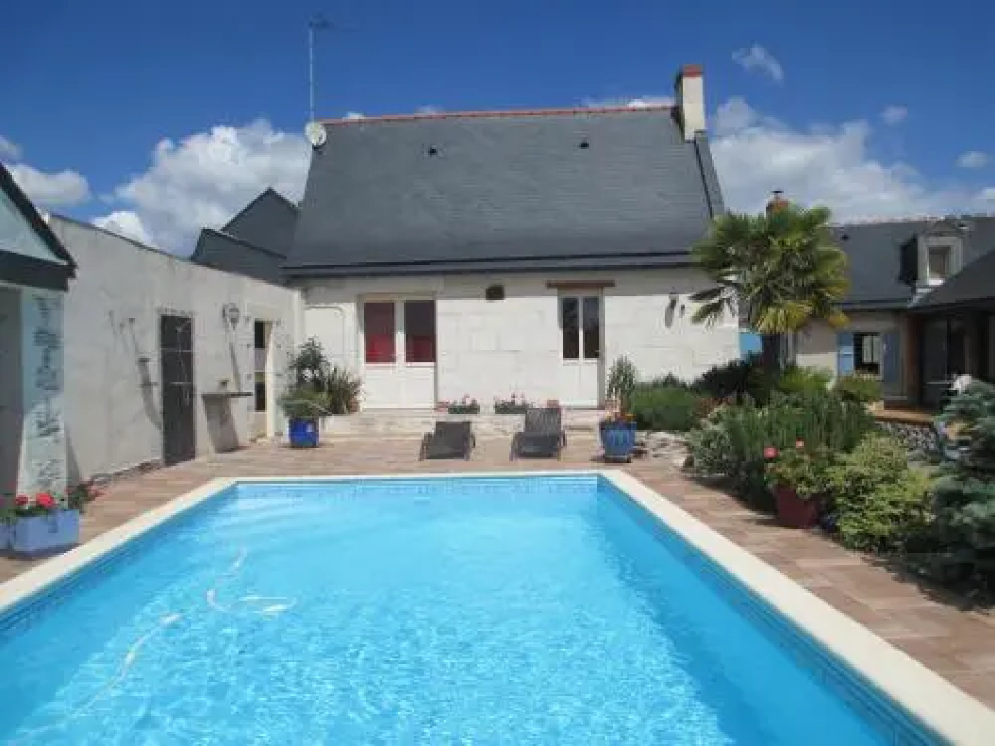 Les Palmiers à La Bohalle