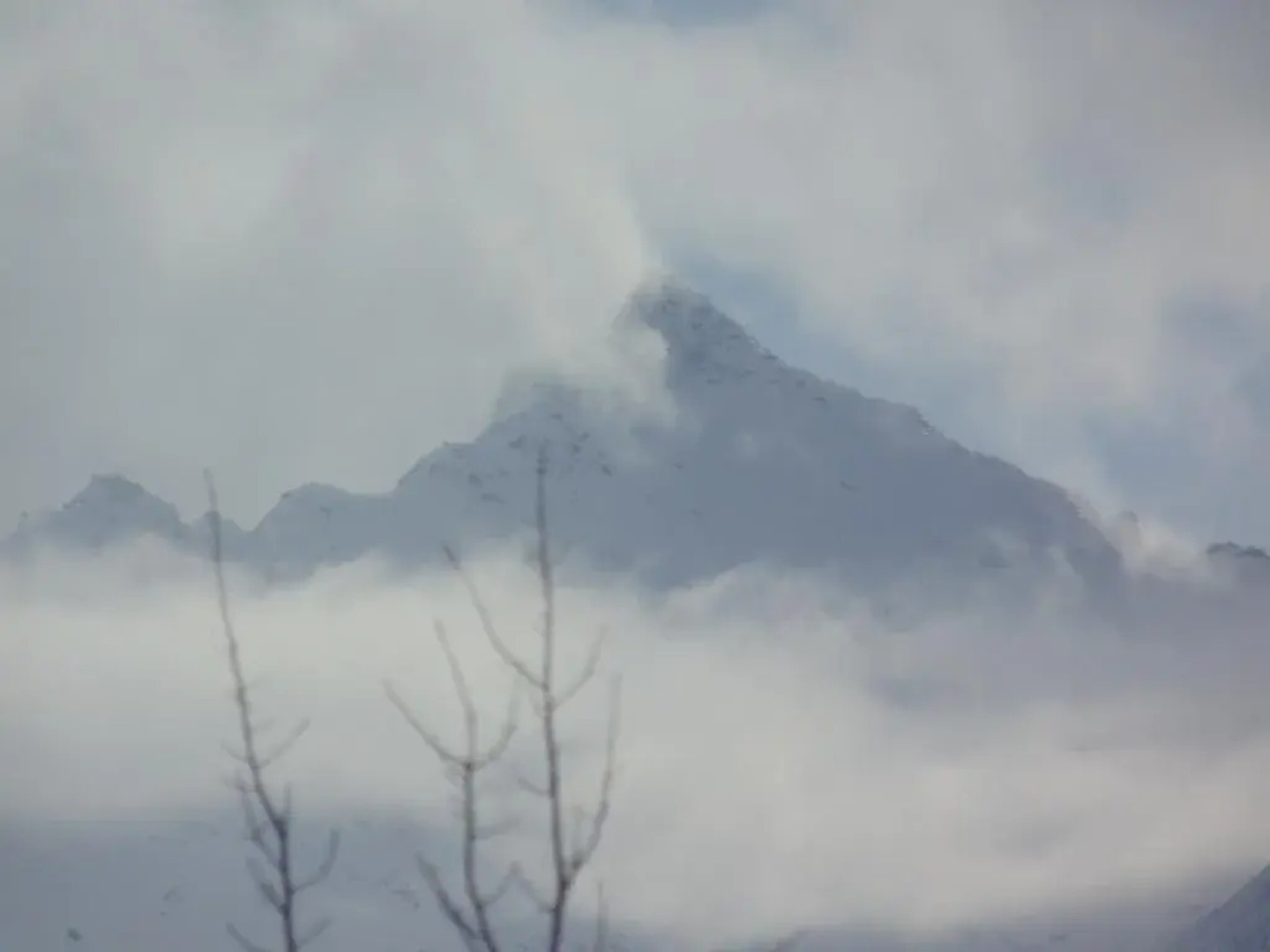 TimberWolf Lodge B&B