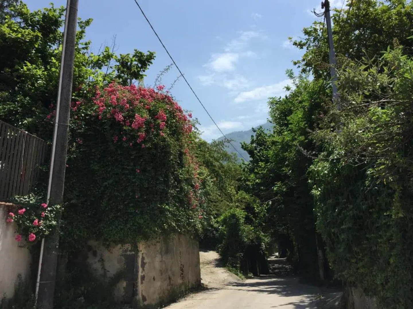 Secret pearl! Amalfi Coast, Pompei & Naples Free parking