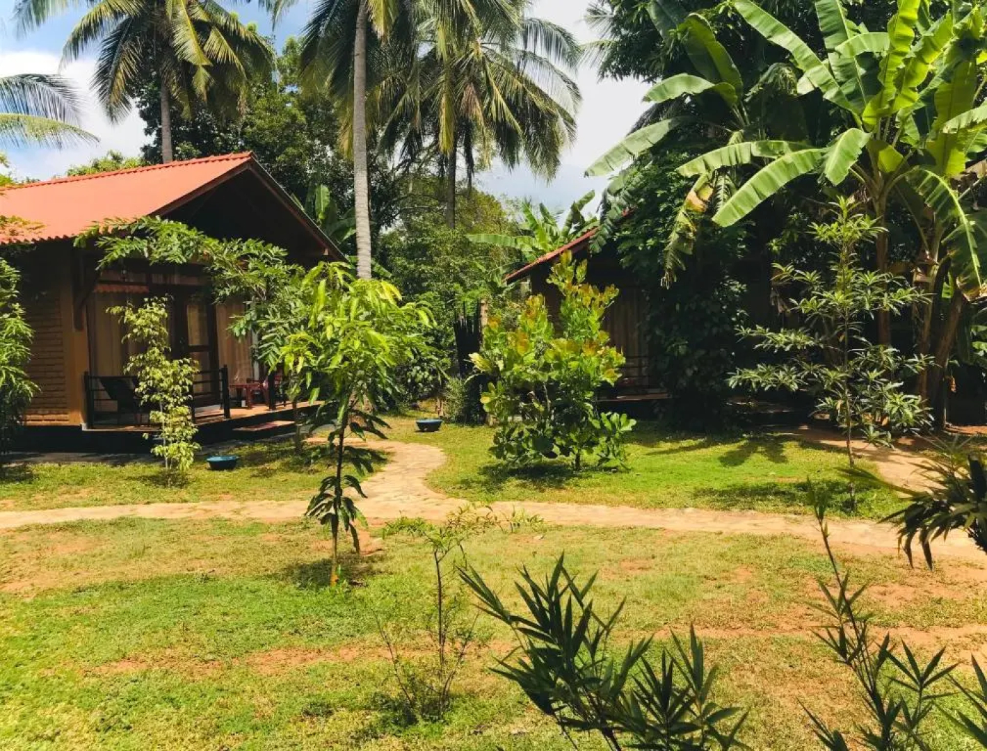 Mango Tree House