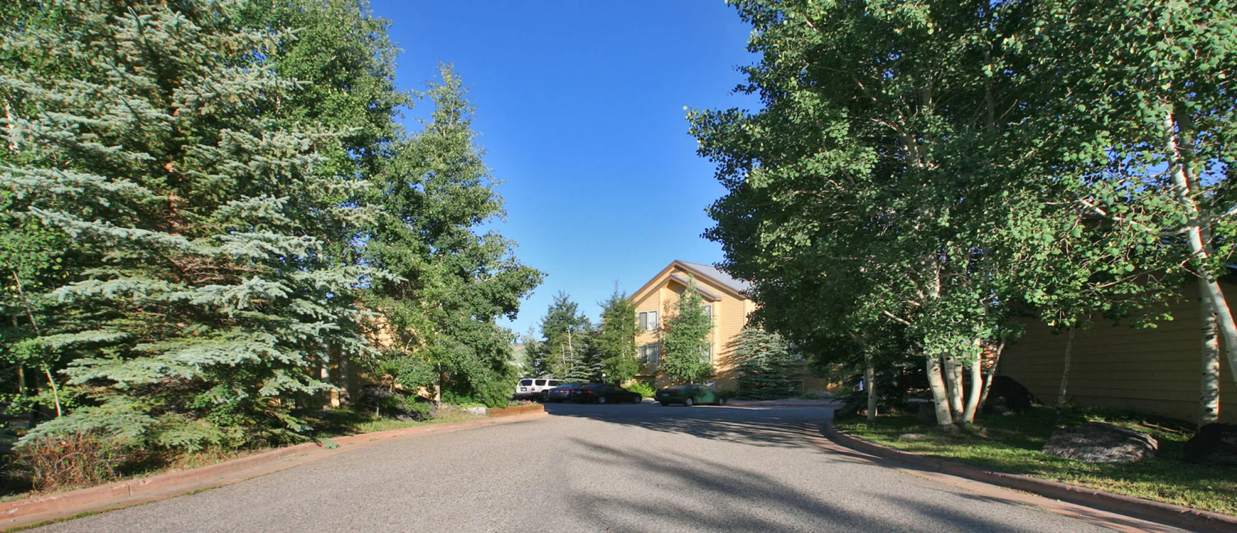 Swan Mountain Resort