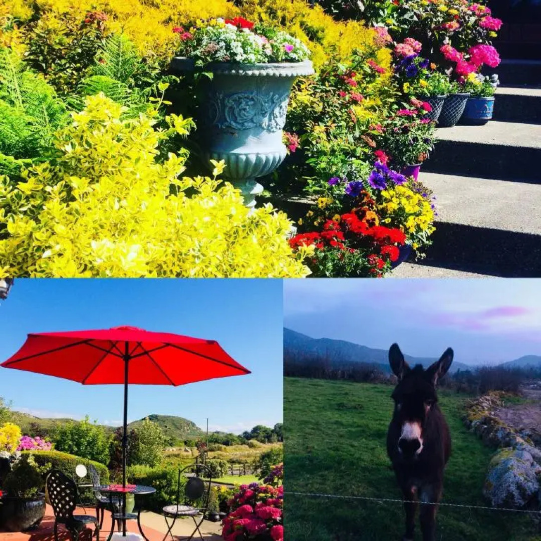 Hillcrest farmhouse Bed & Breakfast