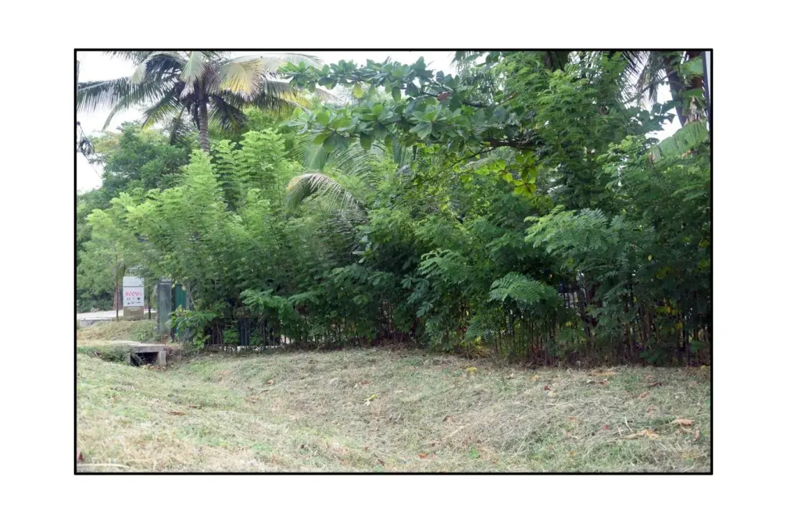 Sun and Green Eco Lodge