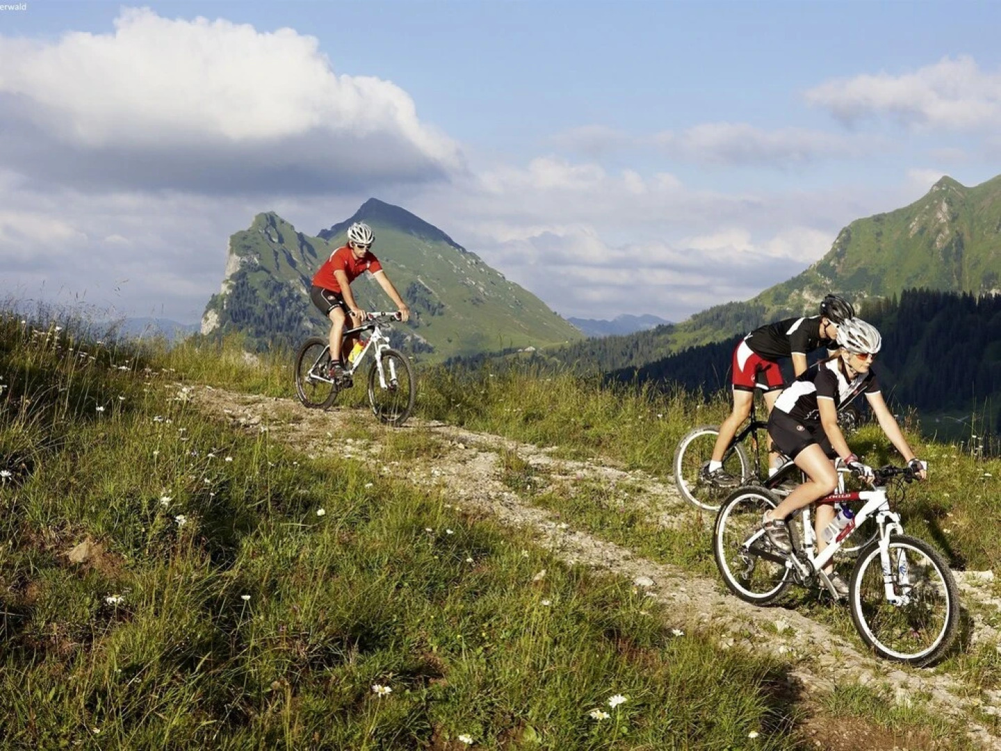 Cosy Apartment in Dalaas With Terrace, Garden & Ski-storage