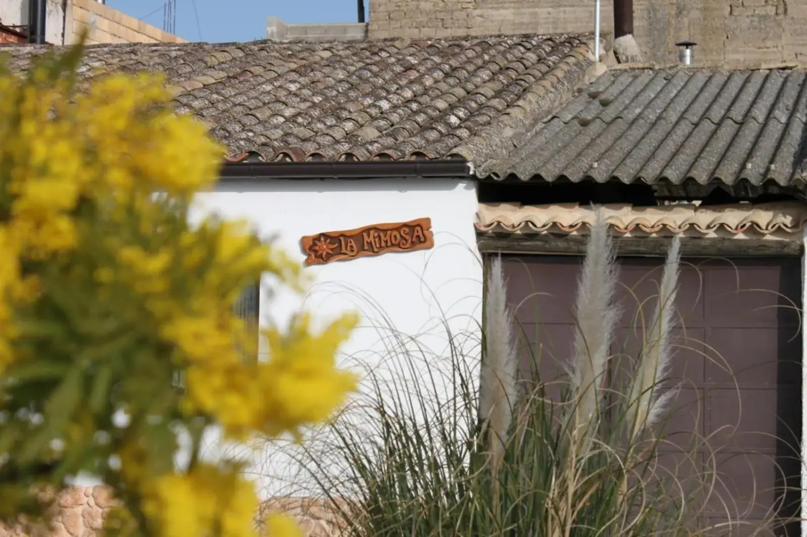 La mimosa