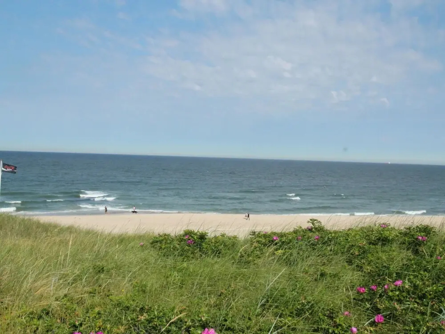 Quietly located apartment in a rural area