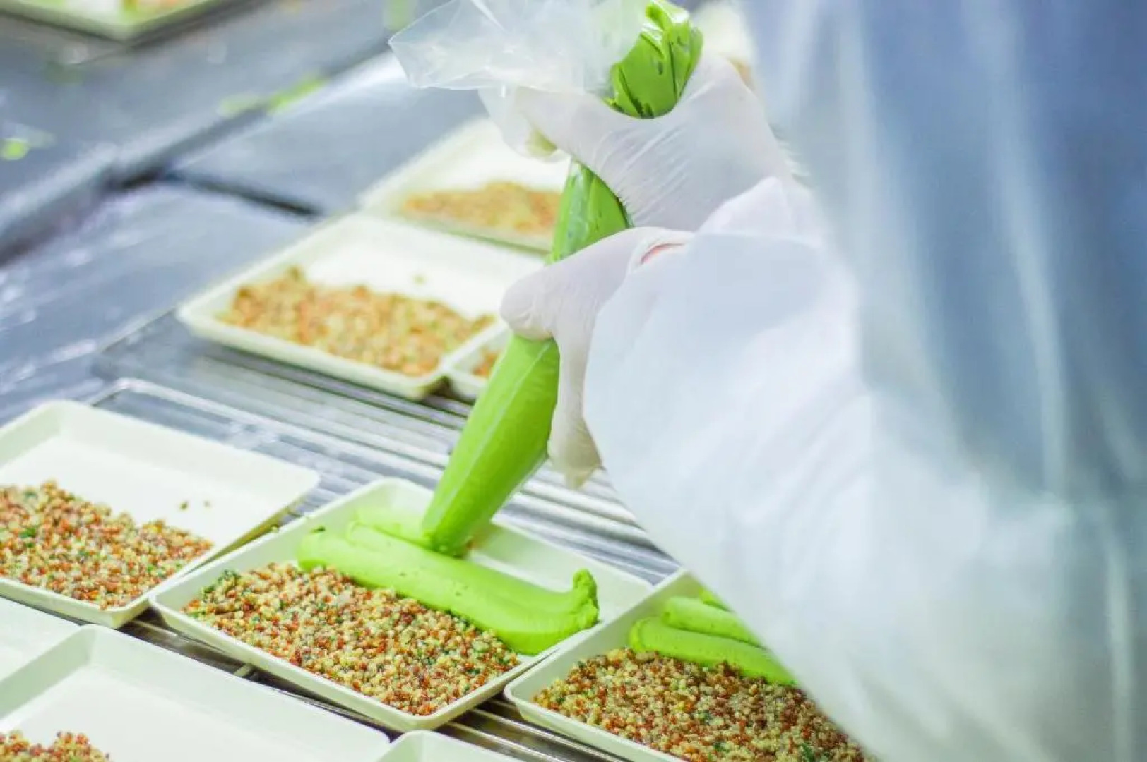 Grand Mercure Mysore