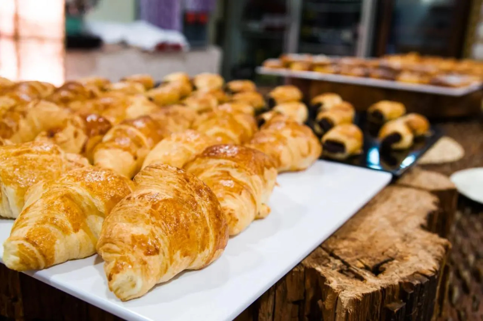 Hotel Balneario Areatza