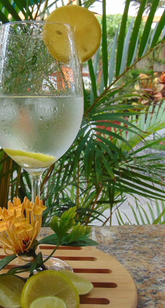 Hotel Boutique La Pergola