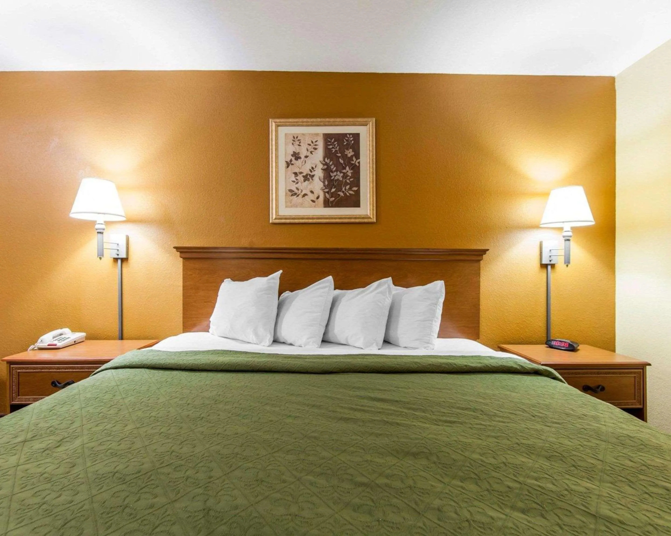 Quality Inn & Suites Cartersville North