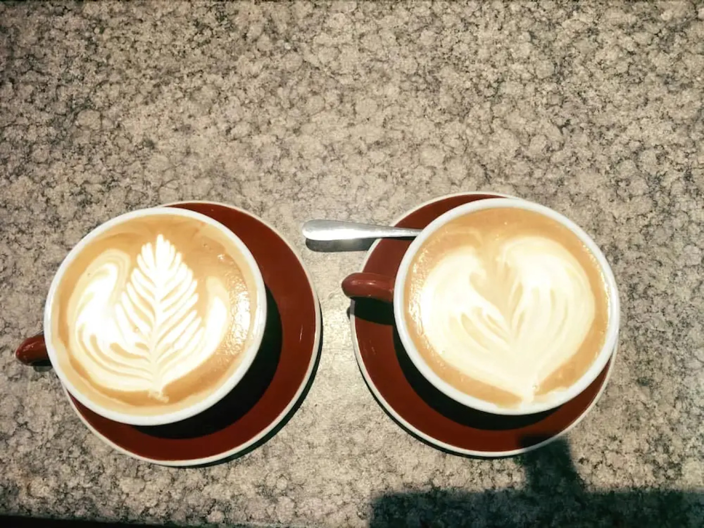 Waitomo Village Chalets Home of Kiwipaka