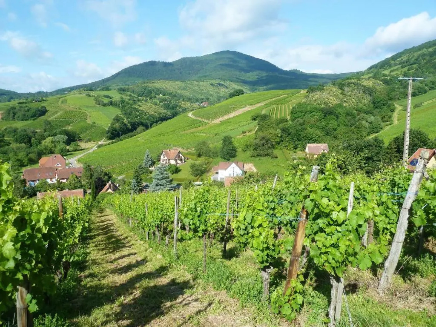 Appartement de 3 chambres avec wifi a Epfig